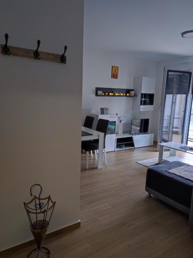 Nina Apartment Valjevo Bagian luar foto