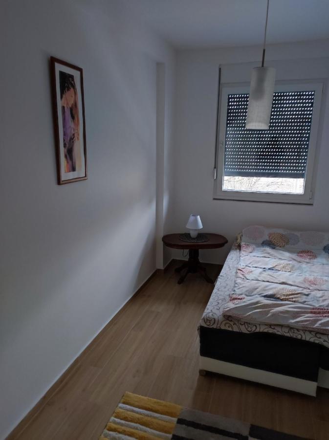 Nina Apartment Valjevo Bagian luar foto